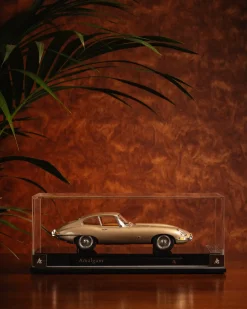 La Jaguar Type E