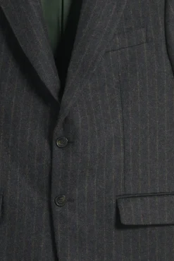 La Veste De Costume Rayée